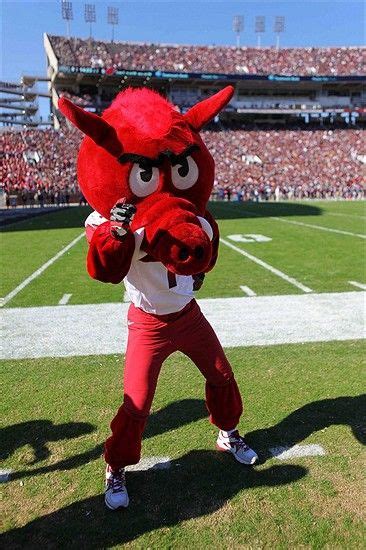 The Role of the Tysk Arkansas Mascot in Boosting Team Morale